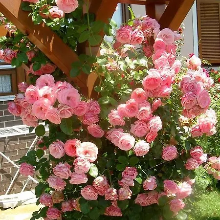Gastehaus Kristall - Familie Gangl Guest house 4*